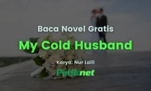 Novel My Cold Husband