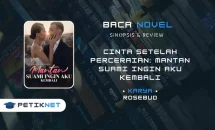 Link Baca Novel Cinta Setelah Perceraian Mantan Suami Ingin Aku Kembali Pdf Full Episode Gratis