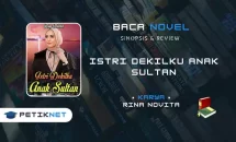 Link Baca Novel Istri Dekilku Anak Sultan Full Episode