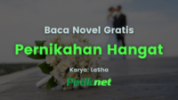 Baca Novel Pernikahan Hangat Full Episode Gratis (Update)
