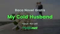 Baca Novel My Cold Husband Full Episode Gratis (Update)