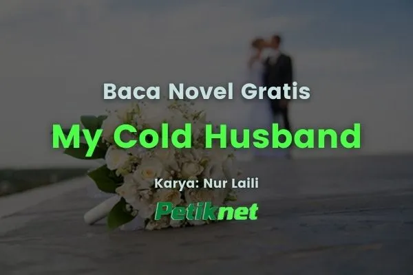 Novel My Cold Husband