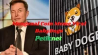 Apa itu BabyDoge? Coin meme yang di Pump Elon Musk