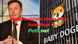 Apa itu BabyDoge? Coin meme yang di Pump Elon Musk