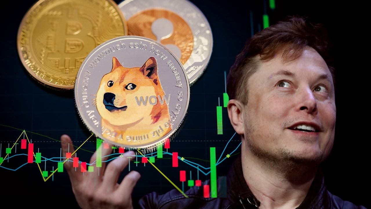Elon Musk Menjadi Pemilik Twitter, Doge Coin Terbang 111 Persen