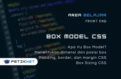 Box Model CSS