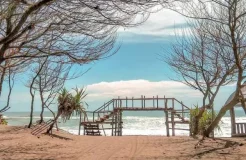 Pantai Cemara Sewu: Keindahan Tersembunyi di Bantul, Yogyakarta