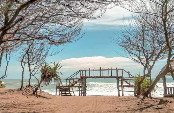 Pantai Cemara Sewu: Keindahan Tersembunyi di Bantul, Yogyakarta
