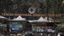 Berpetualang di Taman Nasional Gunung Merapi, Jawa Tengah